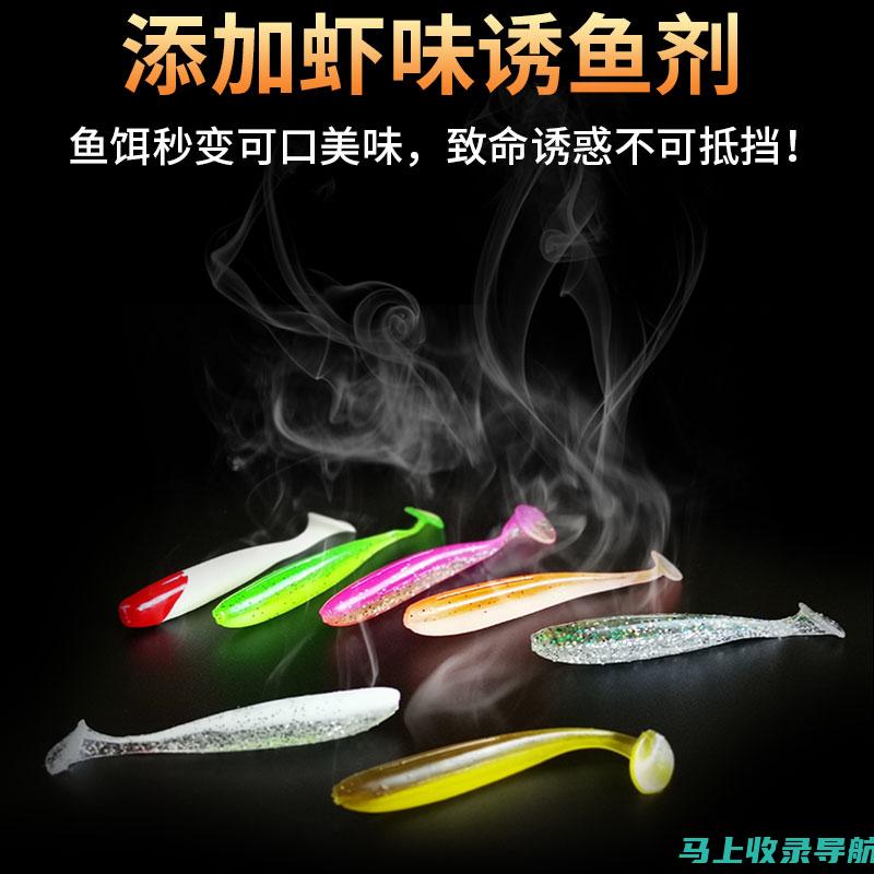 鱼头SEO软件综合应用教程：全方位优化你的网站表现